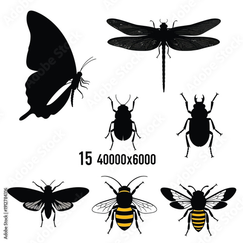 Insect silhouettes with butterfly, dragonfly, beetles, and bees