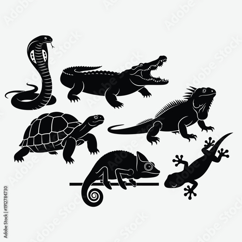 Black silhouettes of reptiles and amphibians on white background