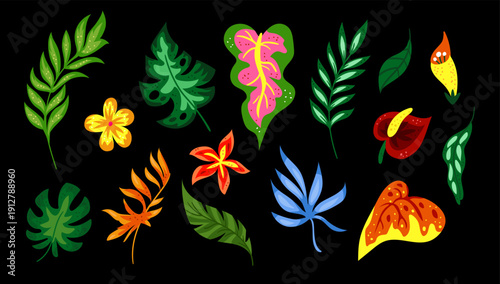 Plant tropical. Leaf stickers. Monstera jungle, exotic palm leaves. Watercolor floral paradise. Hawaii rainforest summer greenery. Foliage, nature element. Vector tidy botany isolated design elements