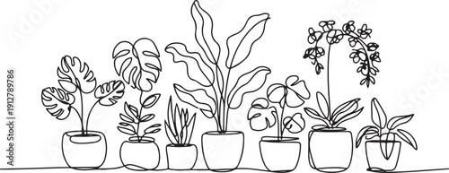 Set of continuous line drawing of house plant and flowers in pots.one line victor illustration in white Background