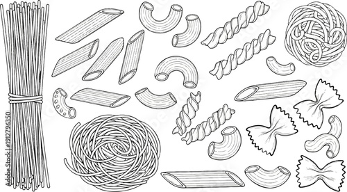 A variety of Italian pasta shapes sketched in black and white on a white background