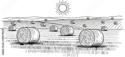 A sunlit field of harvested hay bales under a clear sky