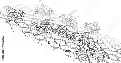 Artistic sketch of bees on a honeycomb structure