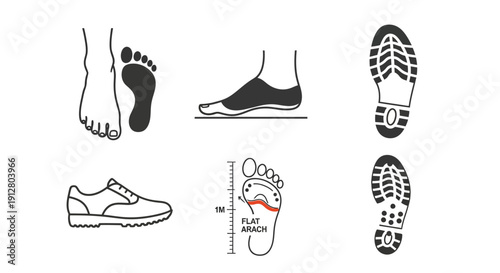 Foot Anatomy and Shoe Fit: Flat Arch, Sole Print, and Sneaker Illustration