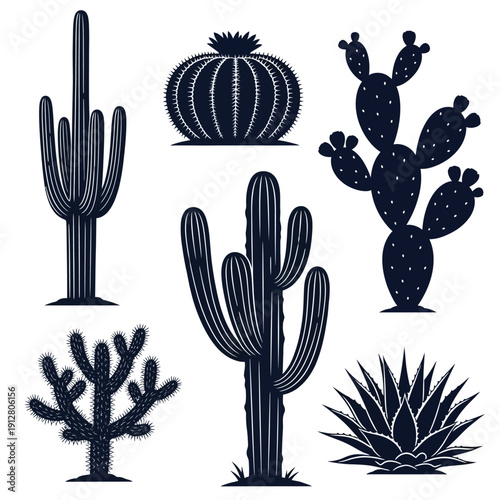 Collection of various cacti and succulents in modern silhouette style