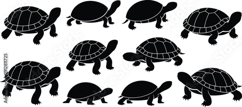 Black turtle silhouettes collection, aquatic reptile illustrations, unique shell patterns, animal shapes, marine wildlife design elements