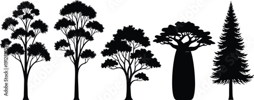Black silhouettes of various tree species including pine fir baobab and oak isolated on white background for forest landscape nature park and environmental design projects