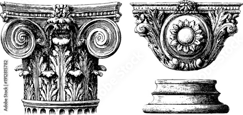 Detailed vintage engravings of corinthian column and acanthus designs for architectural study