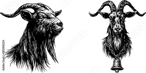 Vintage goat illustration set: detailed head and full body engravings for retro design and art projects