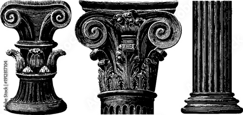 Classic architecture elements engraving: ionic columns, volutes, and shaft design