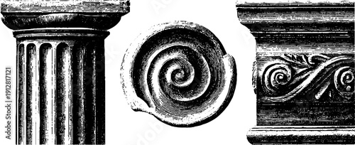 Vintage ionic column set with volute and shaft sketch for architectural design
