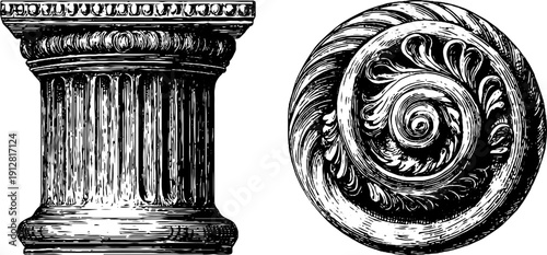 Engraved ionic column and volute sketch set for architectural design