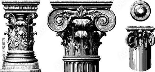 Vintage hand drawn engraving of ionic column with volute and shaft - architectural design elements
