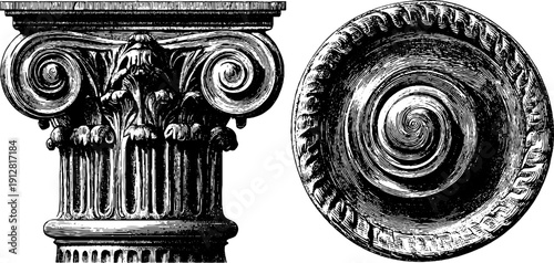 Classic architectural elements: ionic column, volute, and shaft engraving for design