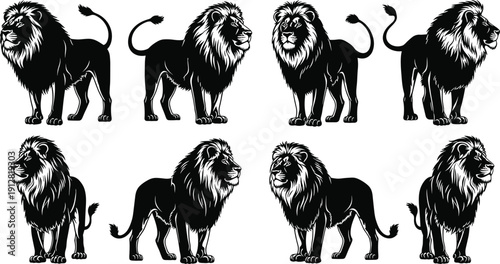Black Lion Silhouette Vector Collection with Various Majestic Male Lion Poses Isolated on White Background for Wildlife Safari Nature Design Elements