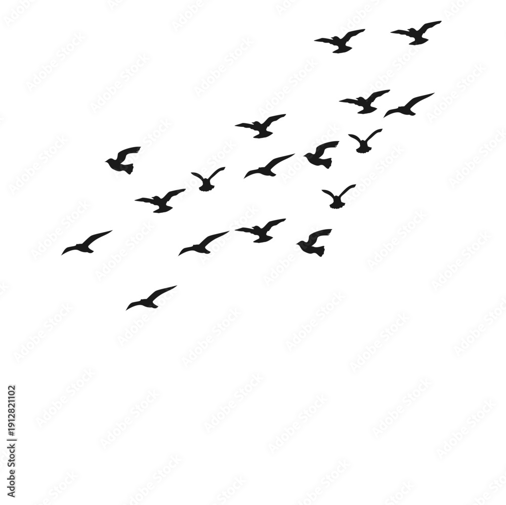 Fototapeta premium Flock Of Bird Flying Silhouette 