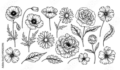 Elegant floral and foliage silhouettes hand sketched botanical outline vector elements
