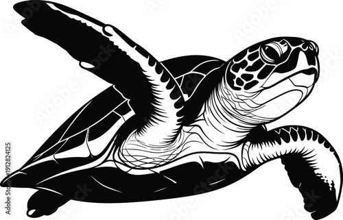 Turtle swimming in ocean viewed from above with fins outstretched, illustration
