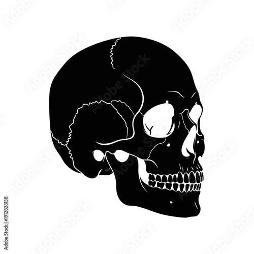 A stark black and white illustration of a human skull in profile view