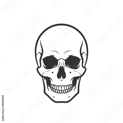 A stark black and white illustration of a human skull with detailed features
