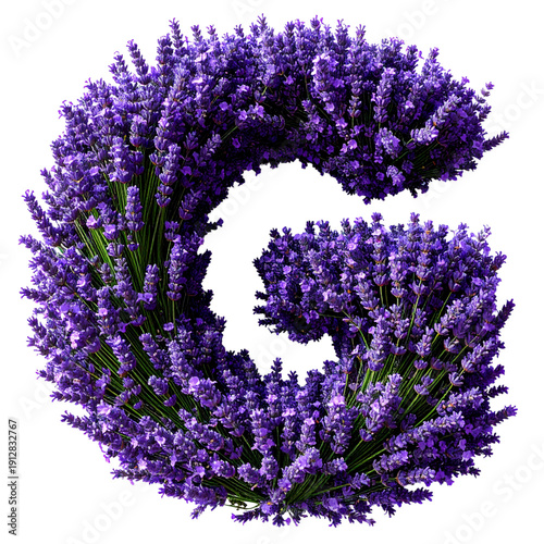 Alphabet letter G made from fresh lavender sprigs and purple flower buds on transparent background for design