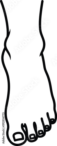 A detailed black and white line drawing of a human foot with toes isolated on white background, Vector