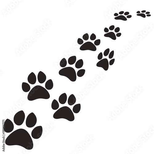 dog paw print