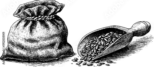 Vintage engraving of barley grain and malt scoop for retro design and label art