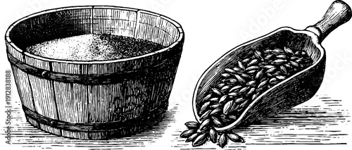 Vintage engraved illustration of barley grains and malt shovel for brewing themes