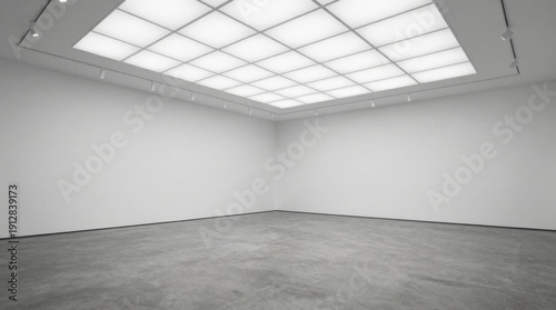 Minimalist exhibition space featuring white walls, concrete floor, and square ceiling light for art display