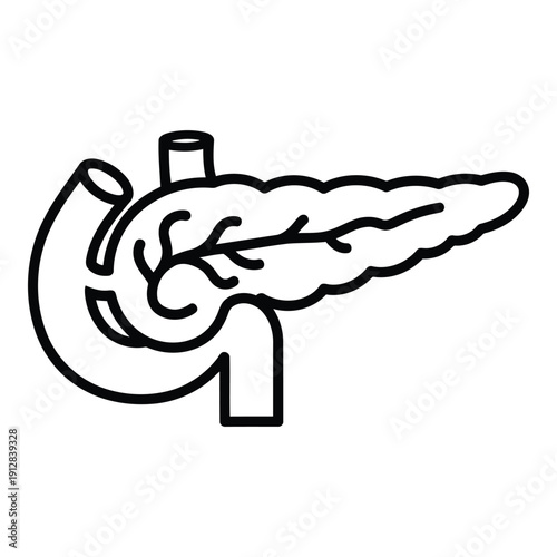 Anatomical illustration of the human pancreas and its ducts isolated on white background, Vector