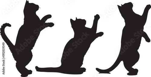 Three playful vector cat silhouettes in black, standing on hind legs and reaching up, isolated on a transparent background for pet-themed designs.