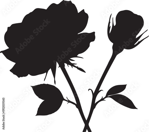 Black silhouette of two roses, one fully bloomed and one budding, with stems and leaves.