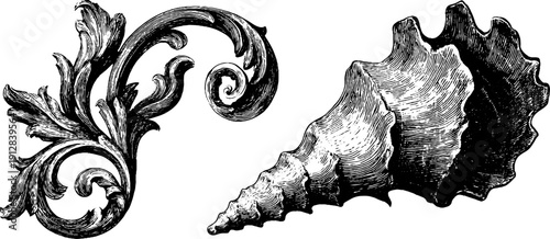 Vintage baroque ornament and nautical shell design for retro decor