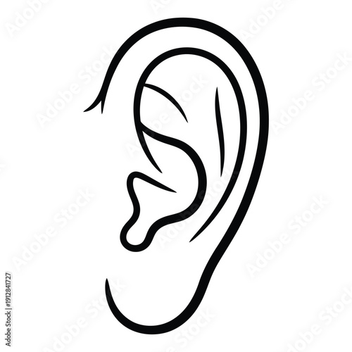 A detailed illustration of a human ear with visible inner structures. isolated on white background, Vector