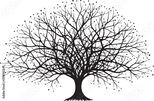 Bare tree with branches and roots on white background
