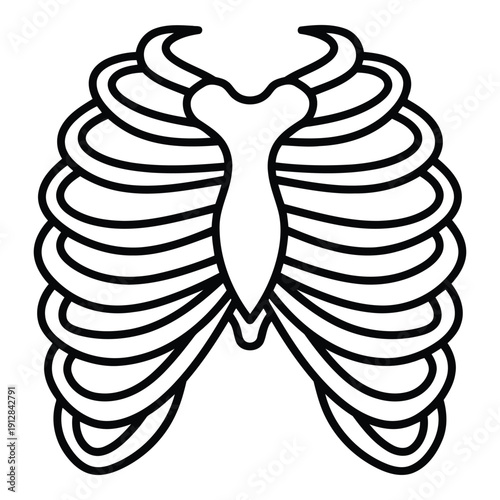 A detailed illustration of the human rib cage showcasing the structure and arrangement of the ribs. isolated on white background, Vector