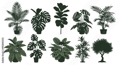 Assortment of tropical plant leaves and houseplant silhouettes