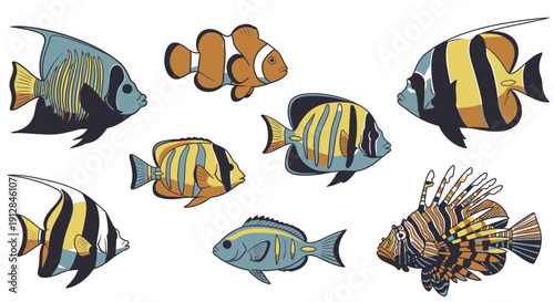 Collection of colorful tropical reef fish illustrations on white background