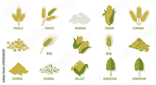 Collection of diverse grain and cereal food crop icons