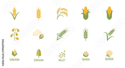 Collection of medical and healthcare icons on white background