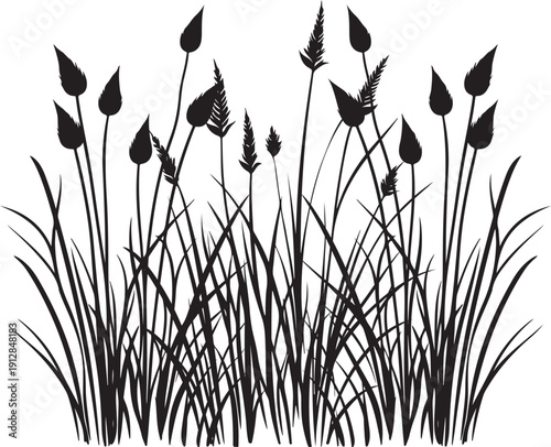 Minimalist Black and White Reeds and Wild Grass Illustration