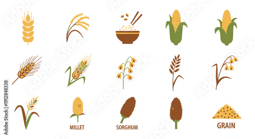 Collection of various cereals and grains icons on white background