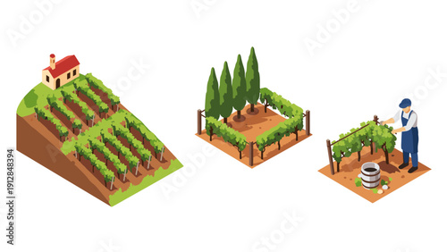 Isometric vineyard scenes with house, trees, and farmer pruning grapevines