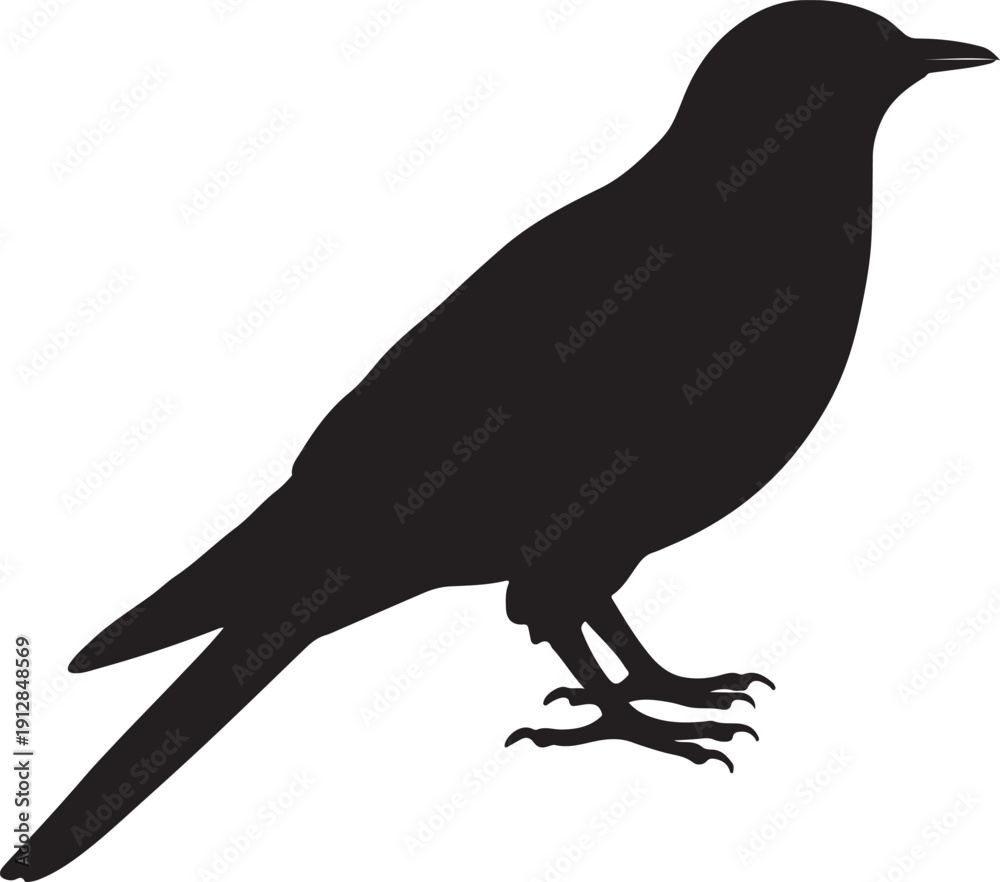Fototapeta premium Bird Illustration Vector Design