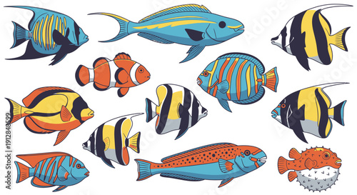 Colorful tropical fish collection on white background