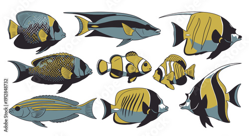Colorful tropical marine fish collection vector illustration set