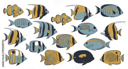 Colorful tropical marine fish illustrations set on white background