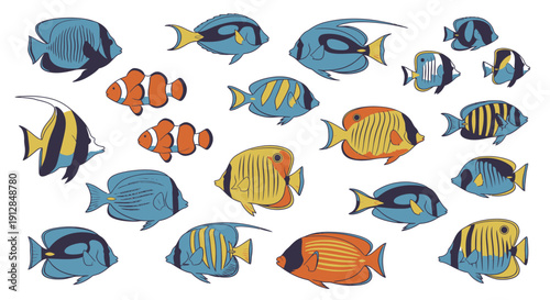 Colorful tropical reef fish vector illustrations set on white