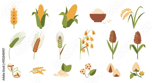 Common agricultural crops, various grains, and healthy nuts